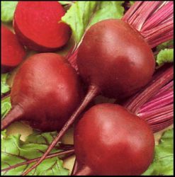 Ricette di Barbabietole rosse